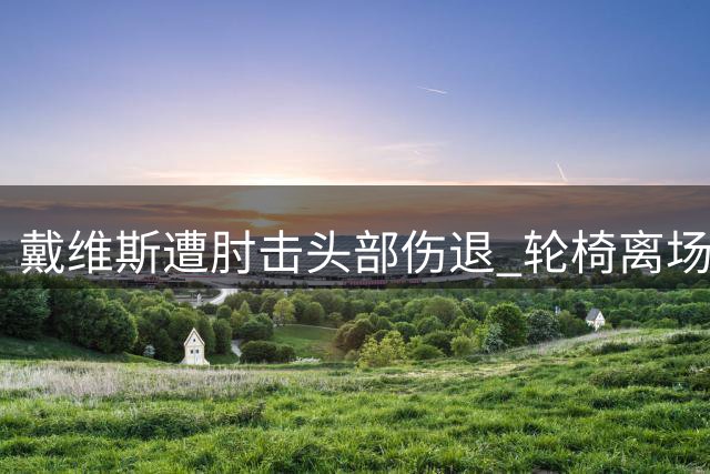戴维斯遭肘击头部伤退 轮椅离场将接受复查