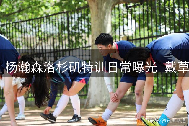 杨瀚森洛杉矶特训日常曝光 戴草帽遛狗展现轻松一面