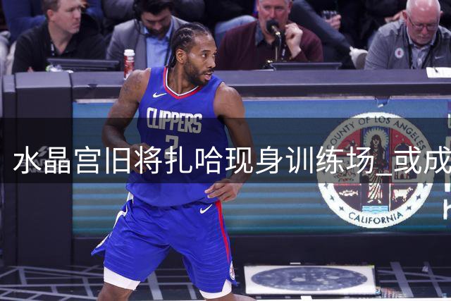 水晶宫旧将扎哈现身训练场 或成球队欧战秘密武器